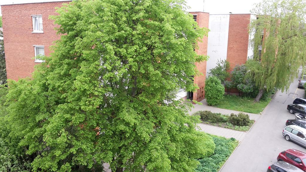 Apartment Amber Sky بالانغا المظهر الخارجي الصورة